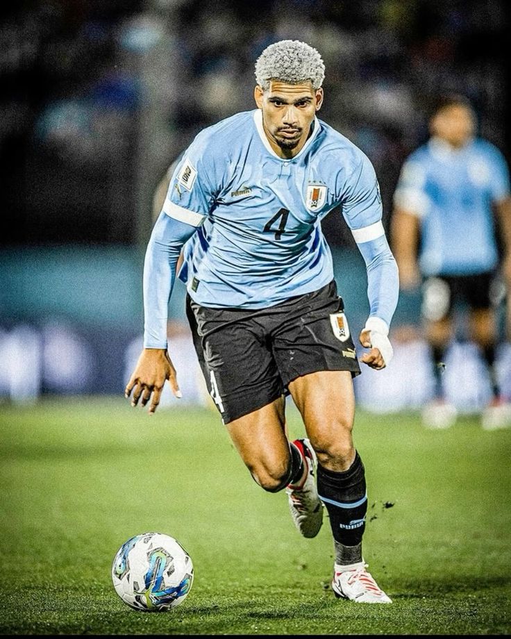 wallpaper 4k Araujo