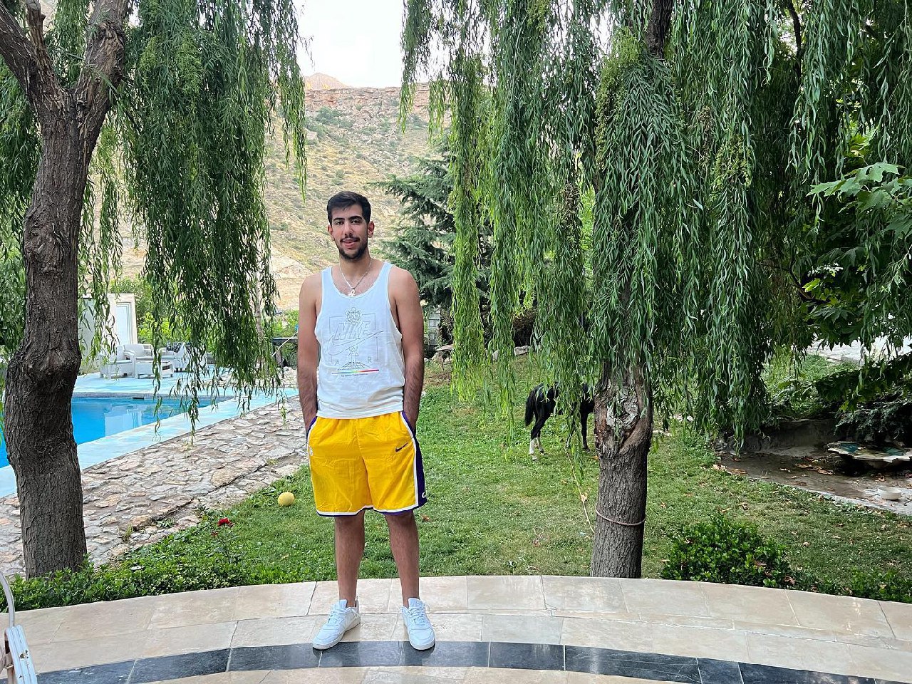 wallpaper Javad Karimi