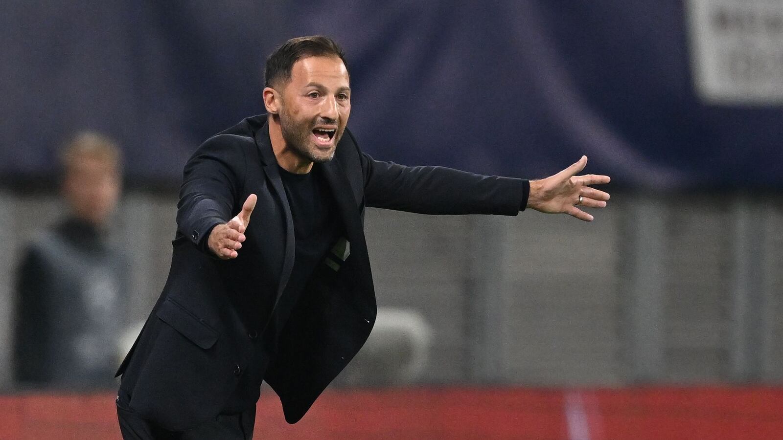 دومنیکو تدسکو مربی بلژیک دومنیکو تدسکو مربی بلژیک