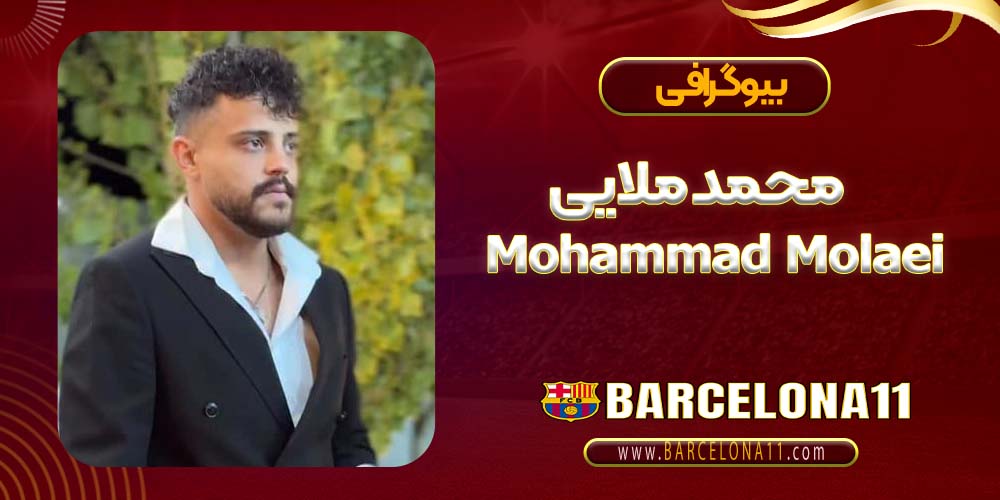 بیوگرافی محمد ملایی