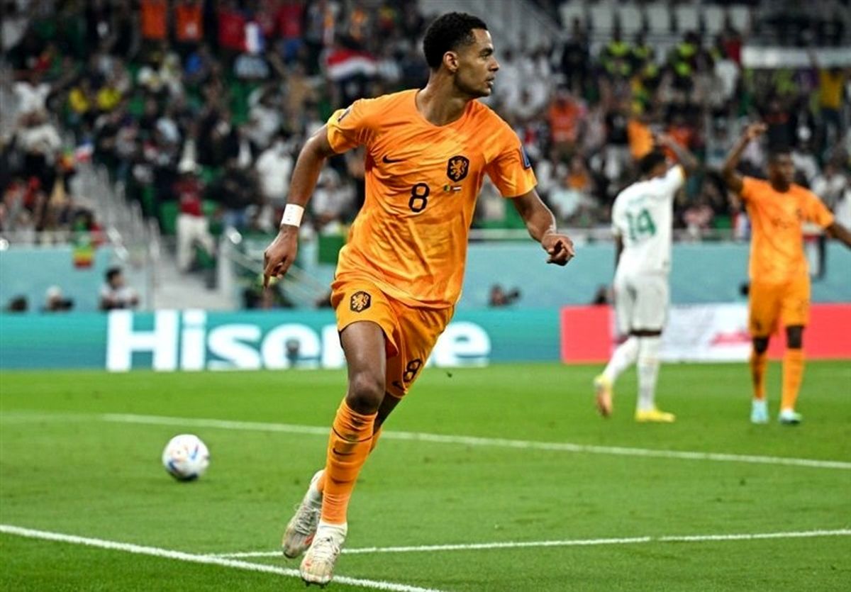 کودی گاکپو کودی گاکپو