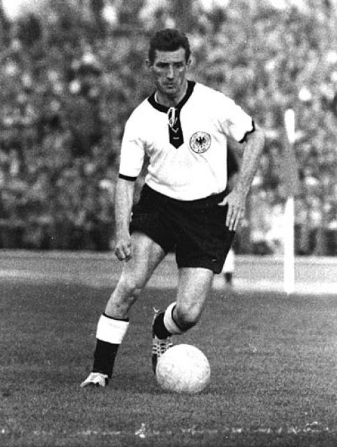 فریتس والتر گل فریتس والتر گل