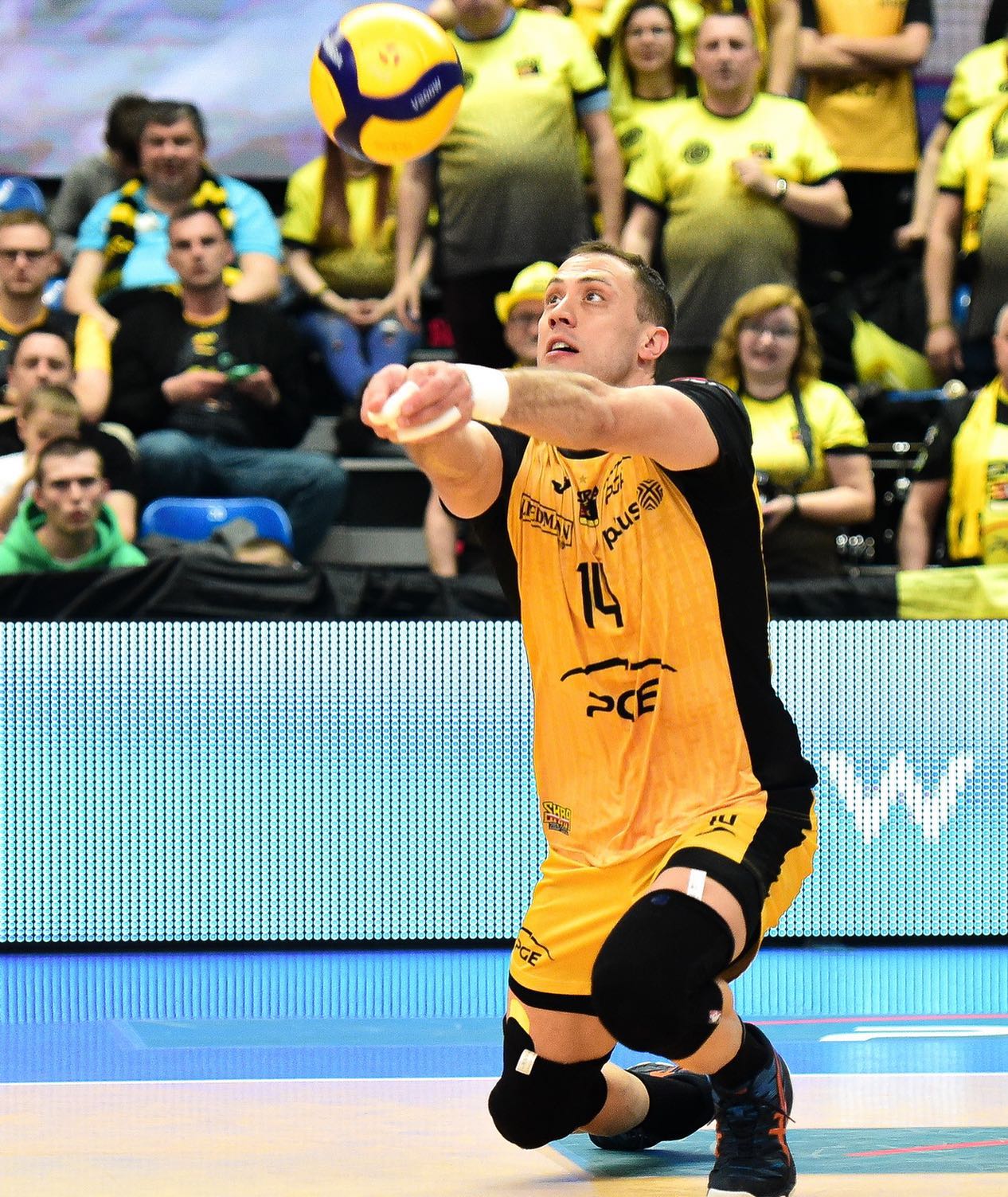 wallpaper Aleksandar Atanasijevic