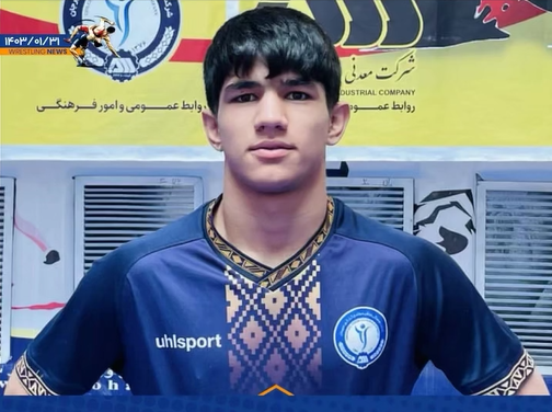 عملکرد محمدپویا اسدی عملکرد محمدپویا اسدی