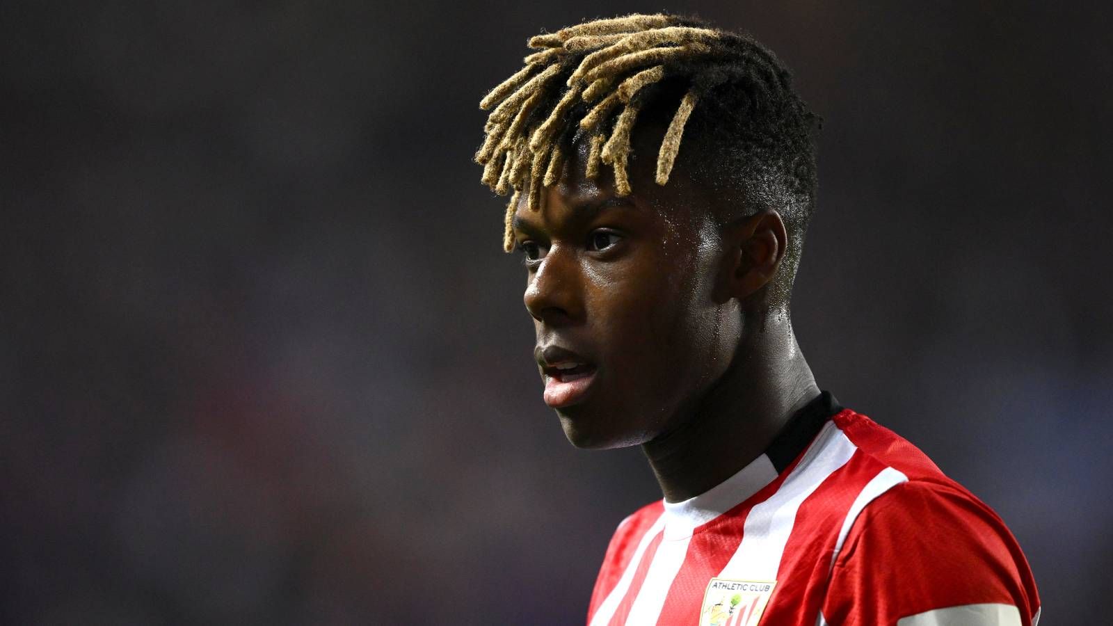 قیمت نیکو ویلیامز