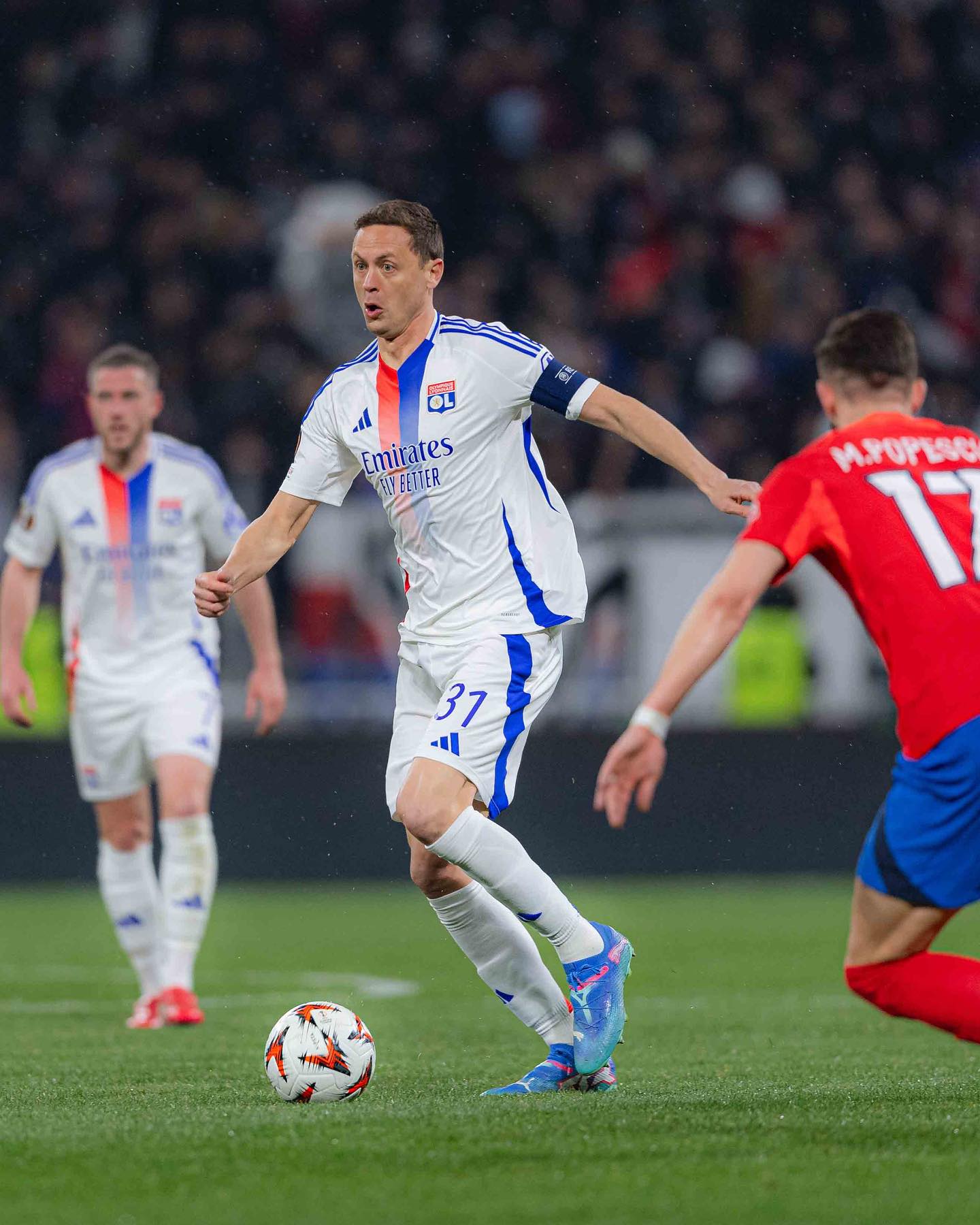 نمانیا ماتیچ والپیپر 