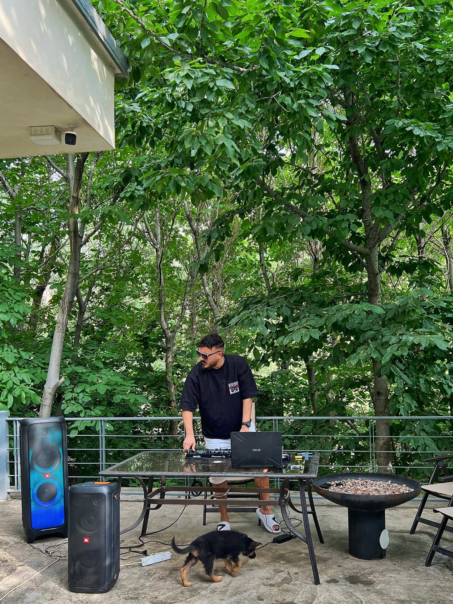 نیما شاهرخ شاهی چه کسی هست نیما شاهرخ شاهی چه کسی هست