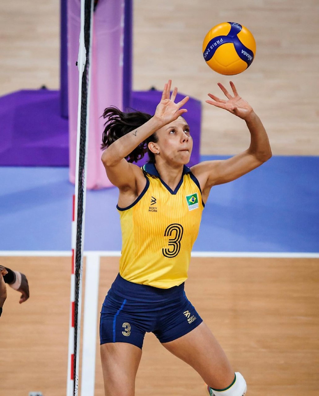 ماکریس کارنیرو عکس ها ماکریس کارنیرو عکس ها