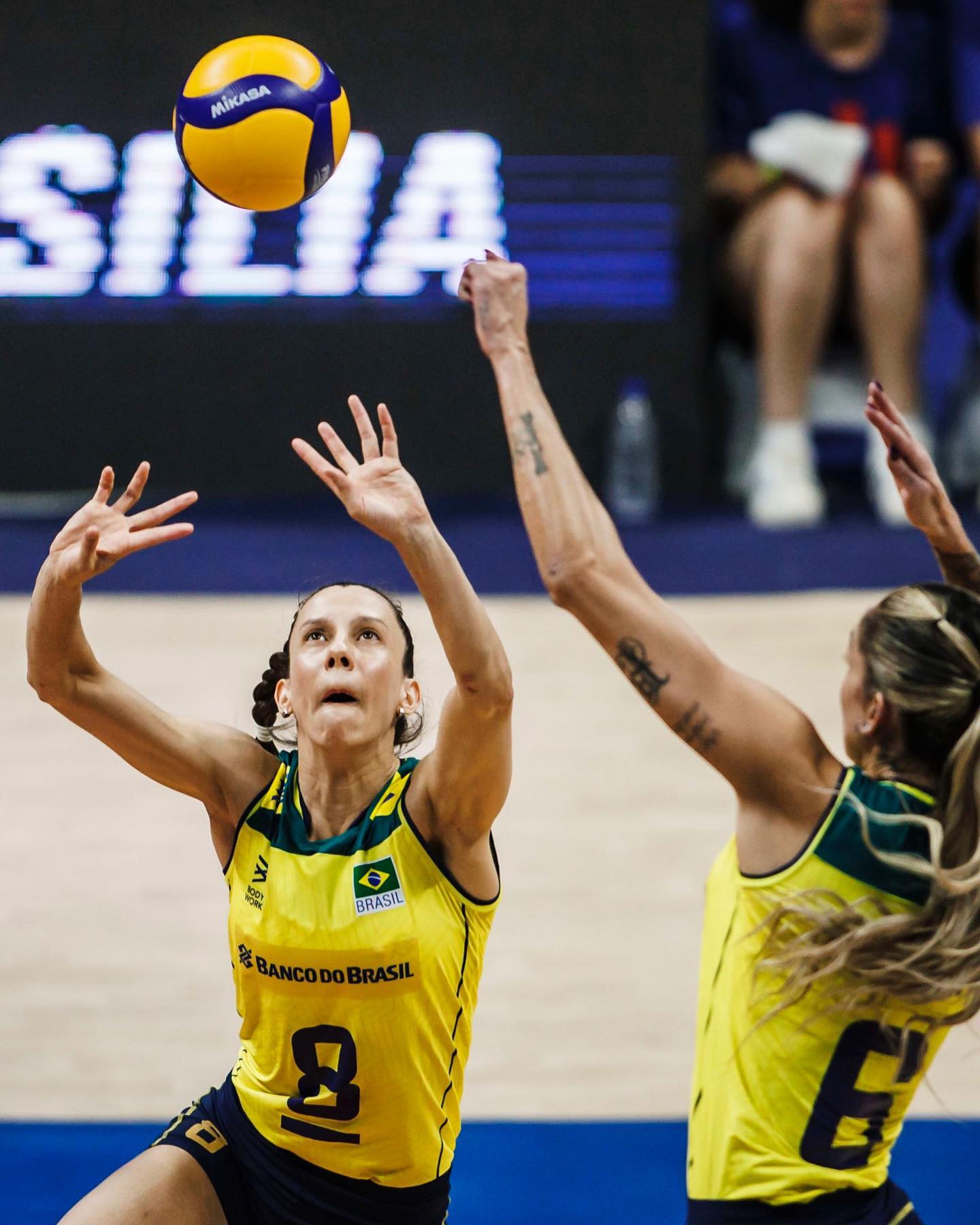 ماکریس کارنیرو برزیل ماکریس کارنیرو برزیل