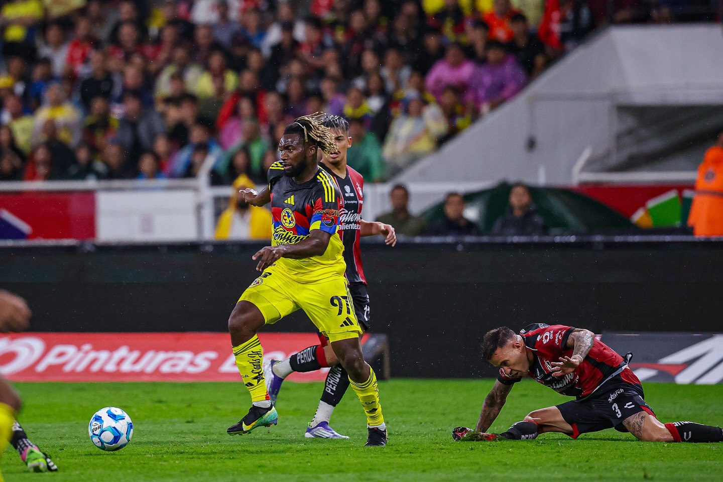 عکس HD آلن سن ماکسیمین عکس HD آلن سن ماکسیمین