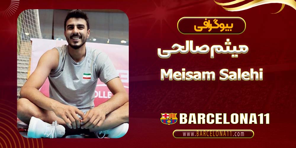 بیوگرافی میثم صالحی