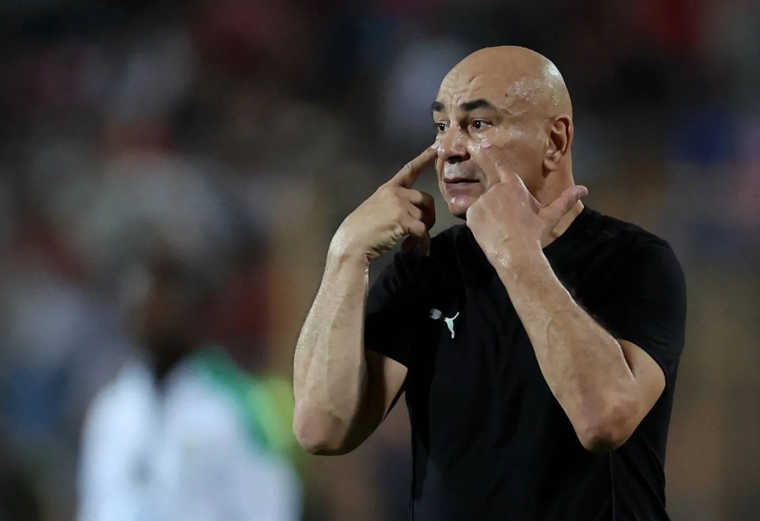 حسام حسن مصر حسام حسن مصر