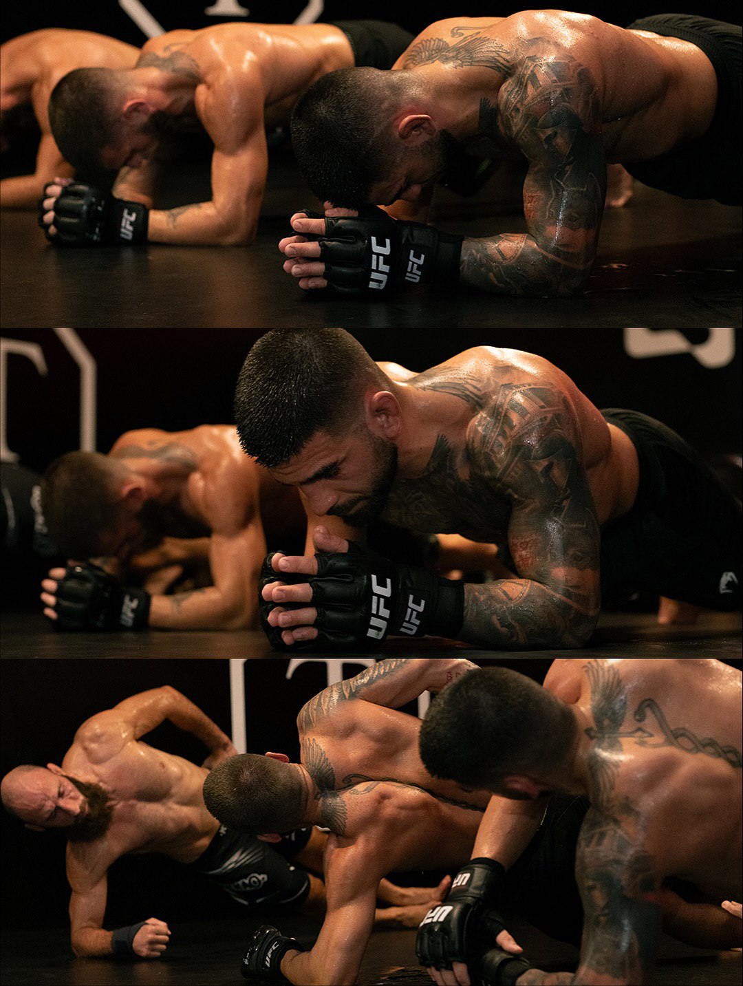 والپیپر ایلیا توپوریا کشتی 2025 والپیپر ایلیا توپوریا کشتی 2025