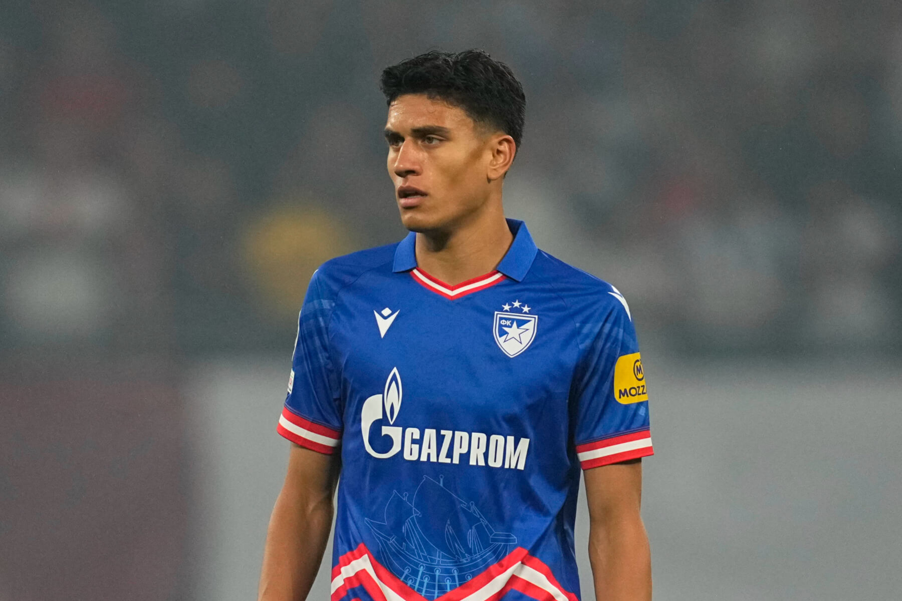 Marko Stamenic Marko Stamenic