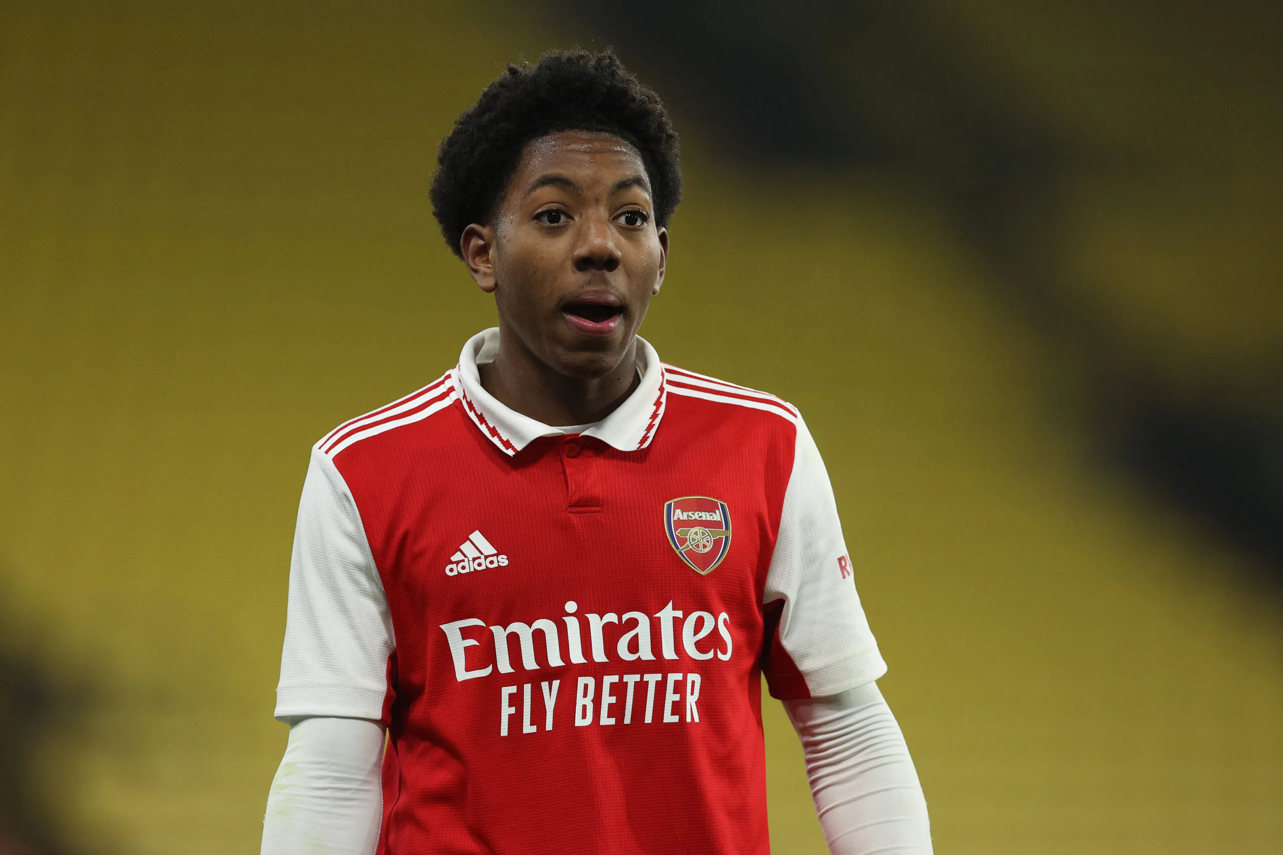 آمار مایلز لوئیس اسکلی آمار مایلز لوئیس اسکلی